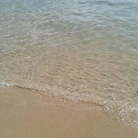Kalia Apartments, Sunny Beach, Kalia Apartcomplex, Nesebar, 8240, 8240, Bulgaria サニービーチ